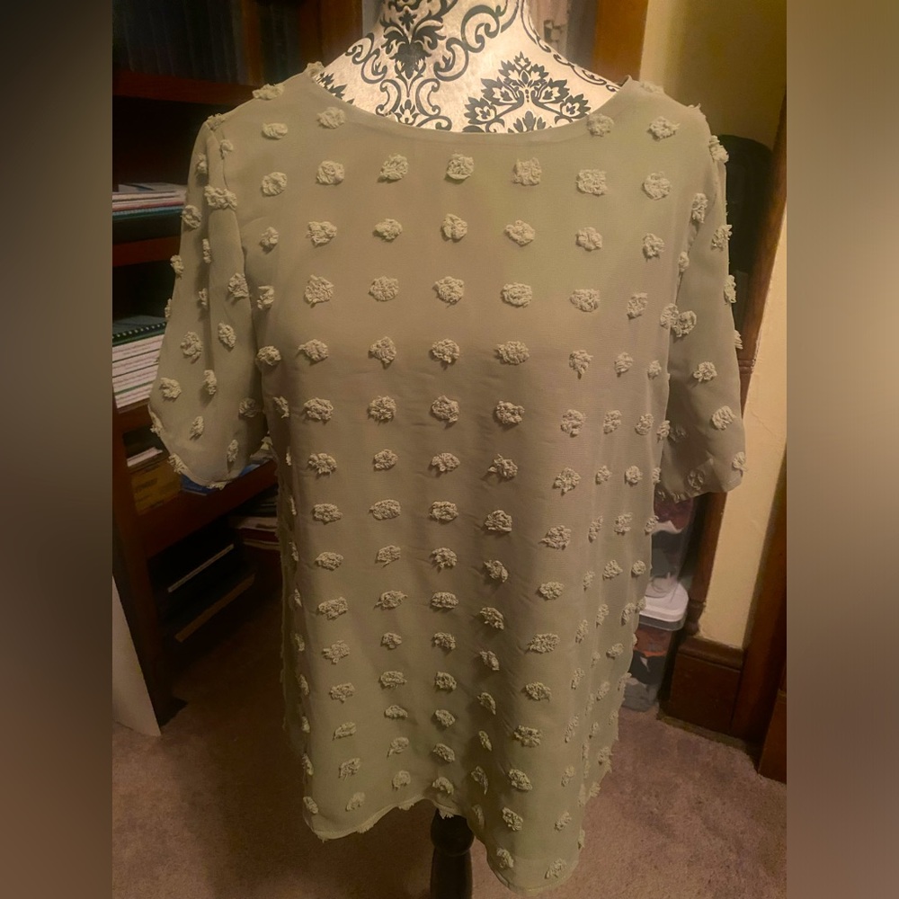Sage green dot blouse